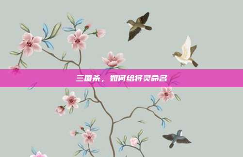三国杀，如何给将灵命名