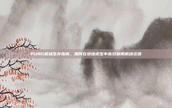 PUBG机场生存指南,如何在绝地求生中高效利用机场资源