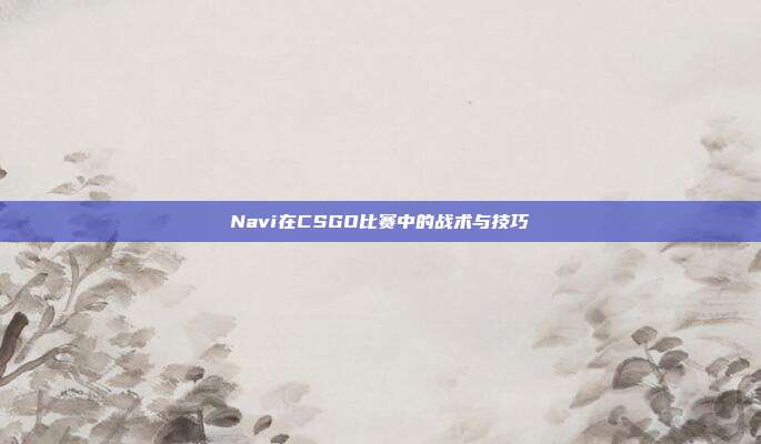 Navi在CSGO比赛中的战术与技巧