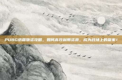 PUBG纸箱物资攻略,如何高效利用资源,成为战场上的赢家!