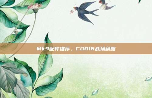 Mk9配件推荐，COD16战场利器