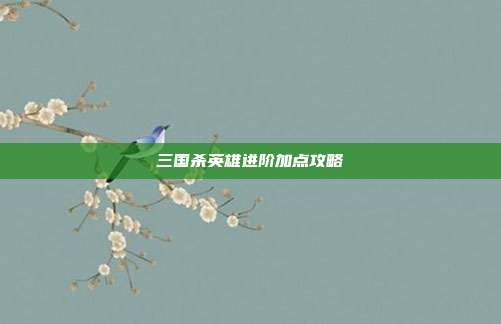 三国杀英雄进阶加点攻略