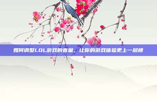 如何调整LOL游戏的音量,让你的游戏体验更上一层楼