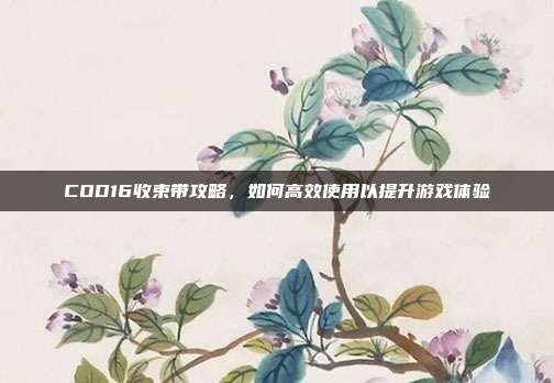 COD16收束带攻略,如何高效使用以提升游戏体验