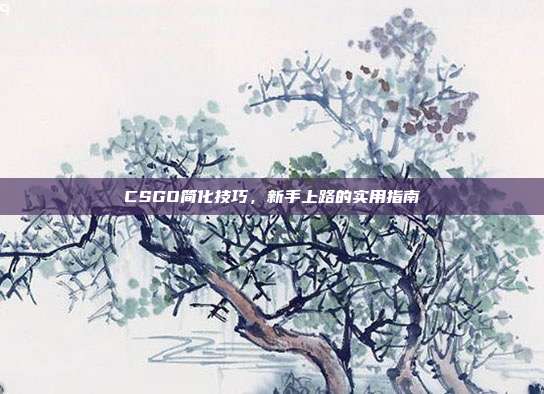 CSGO简化技巧,新手上路的实用指南