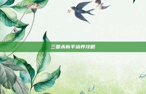三国杀新手培养攻略