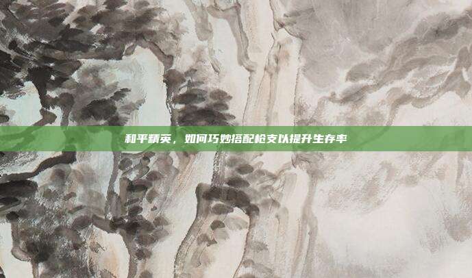 和平精英,如何巧妙搭配枪支以提升生存率