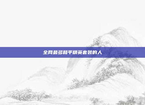 全网最多和平精英套装的人