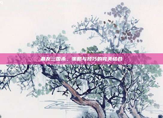 基友三国杀,策略与技巧的完美结合