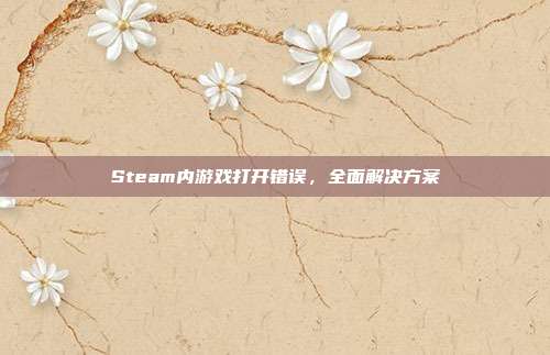 Steam内游戏打开错误,全面解决方案