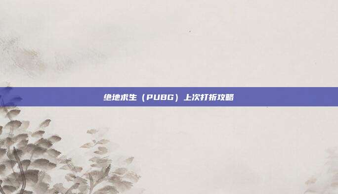 绝地求生(PUBG)上次打折攻略