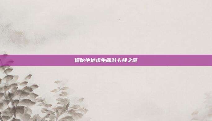 揭秘绝地求生端游卡顿之谜