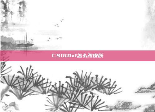 CSGO1v1怎么改皮肤