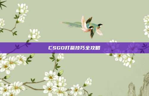 CSGO打赢技巧全攻略