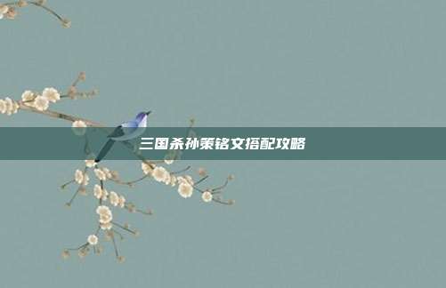 三国杀孙策铭文搭配攻略