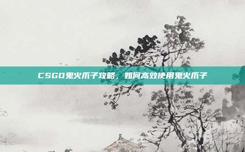 CSGO鬼火爪子攻略，如何高效使用鬼火爪子