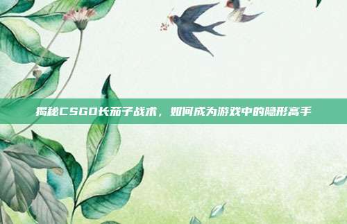 揭秘CSGO长茄子战术，如何成为游戏中的隐形高手