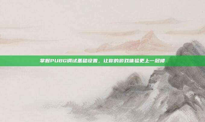 掌握PUBG调试基础设置，让你的游戏体验更上一层楼