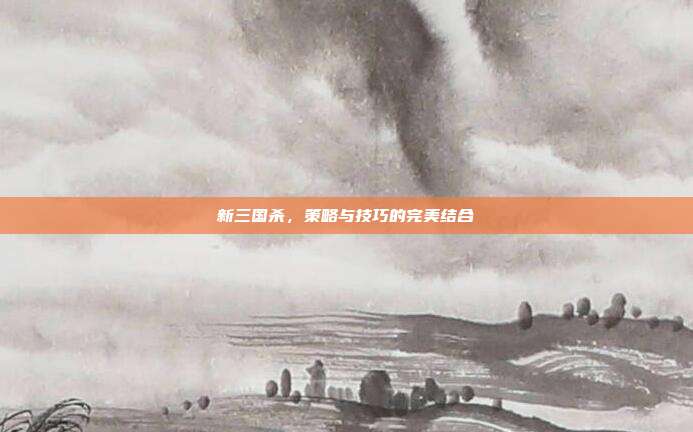 新三国杀，策略与技巧的完美结合