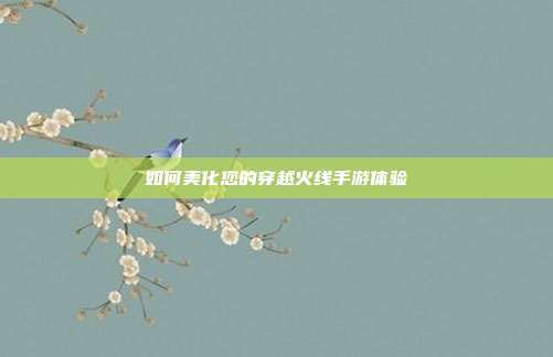 如何美化您的穿越火线手游体验