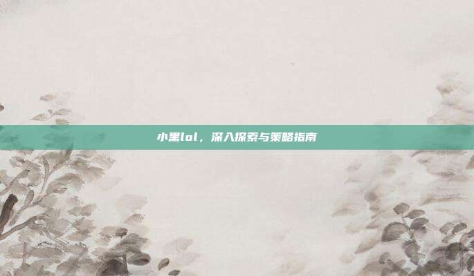 小黑lol,深入探索与策略指南