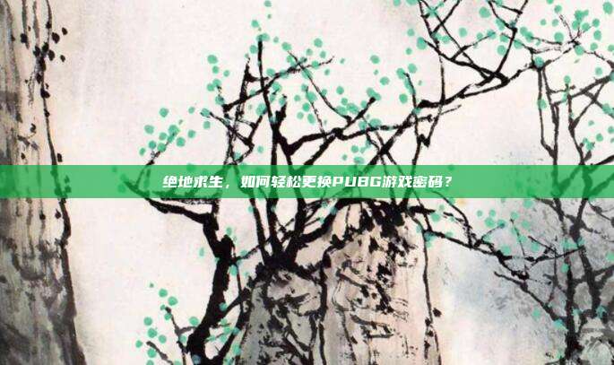 绝地求生，如何轻松更换PUBG游戏密码？