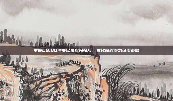 掌握CS:GO消费记录查询技巧，优化你的游戏经济策略