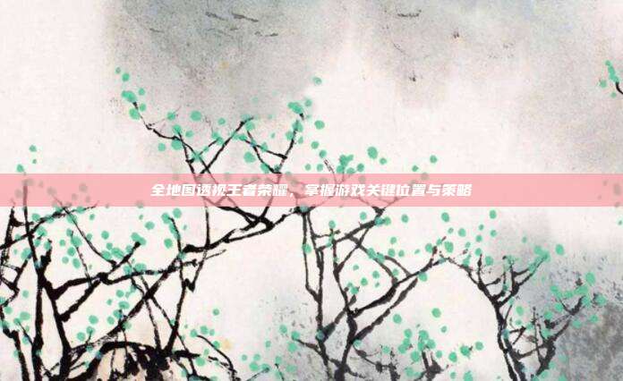 全地图透视王者荣耀，掌握游戏关键位置与策略