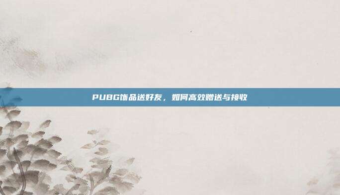 PUBG饰品送好友，如何高效赠送与接收