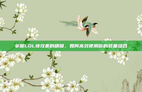 掌握LOL快攻套的精髓，如何高效使用你的装备组合