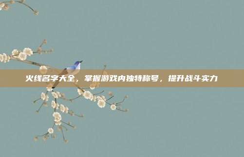 火线名字大全，掌握游戏内独特称号，提升战斗实力