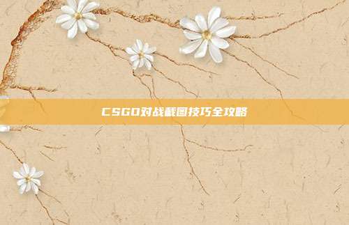 CSGO对战截图技巧全攻略