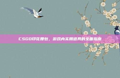CSGO印花腰包，游戏内实用道具的全面指南
