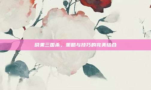 晓果三国杀，策略与技巧的完美结合