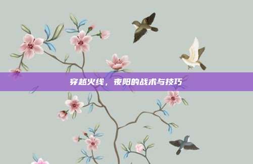 穿越火线，夜阳的战术与技巧
