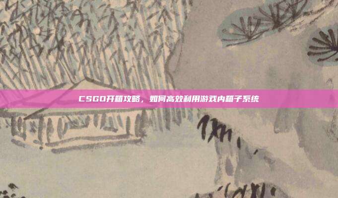 CSGO开箱攻略，如何高效利用游戏内箱子系统