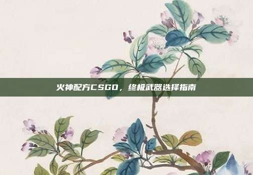 火神配方CSGO，终极武器选择指南