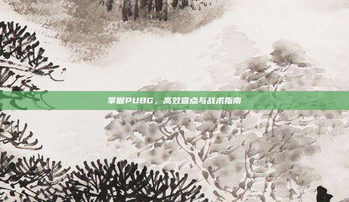掌握PUBG，高效查点与战术指南