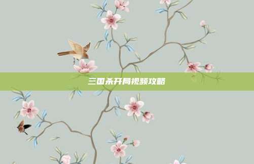 三国杀开局视频攻略