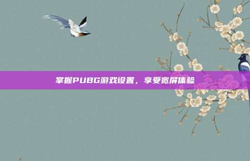掌握PUBG游戏设置，享受宽屏体验