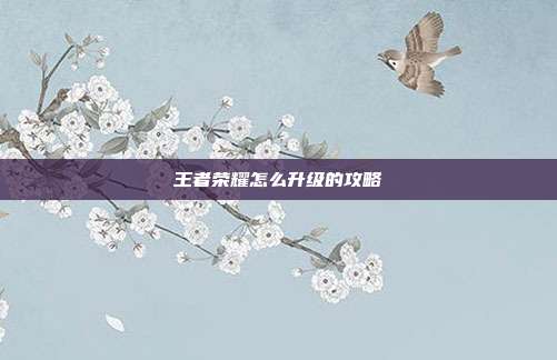 王者荣耀怎么升级的攻略