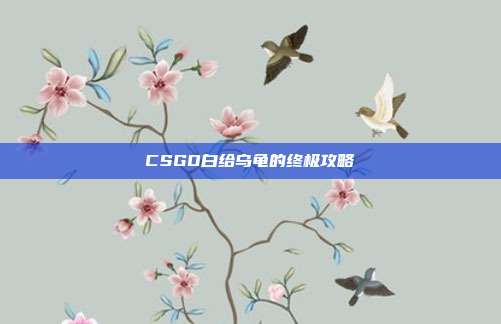 CSGO白给乌龟的终极攻略