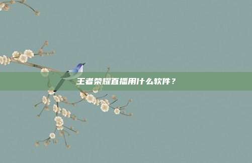 王者荣耀直播用什么软件？