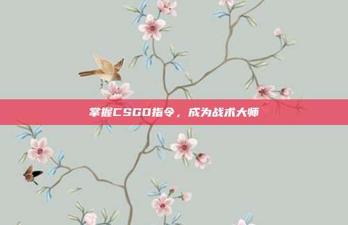 掌握CSGO指令，成为战术大师