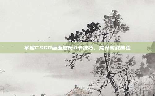 掌握CSGO画面滤镜A卡技巧，提升游戏体验