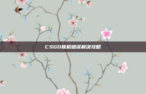 CSGO联机错误解决攻略