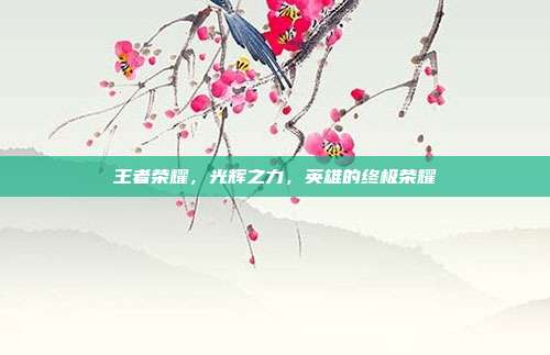 王者荣耀，光辉之力，英雄的终极荣耀