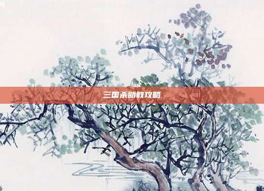 三国杀助教攻略