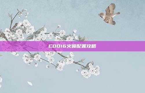 COD16火喷配置攻略