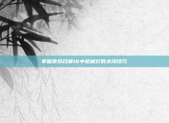 掌握使命召唤16中枪械灯的关闭技巧